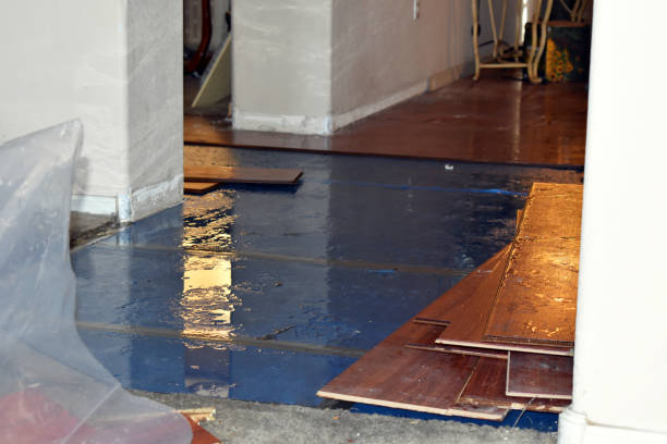 Professional Basement Flood Cleanup technician working in Newfields, NH
